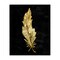 Stupell Industries Feather On Black Canvas, design by Kim Allen